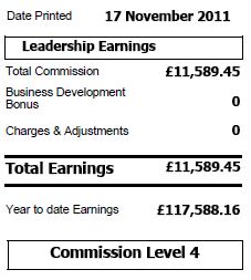 C17 Avon Sales Leadership Earnings 2011