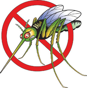 Avon insect repellent: fight the bite!