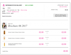 8 Print and save new orders from online representative delivery orders